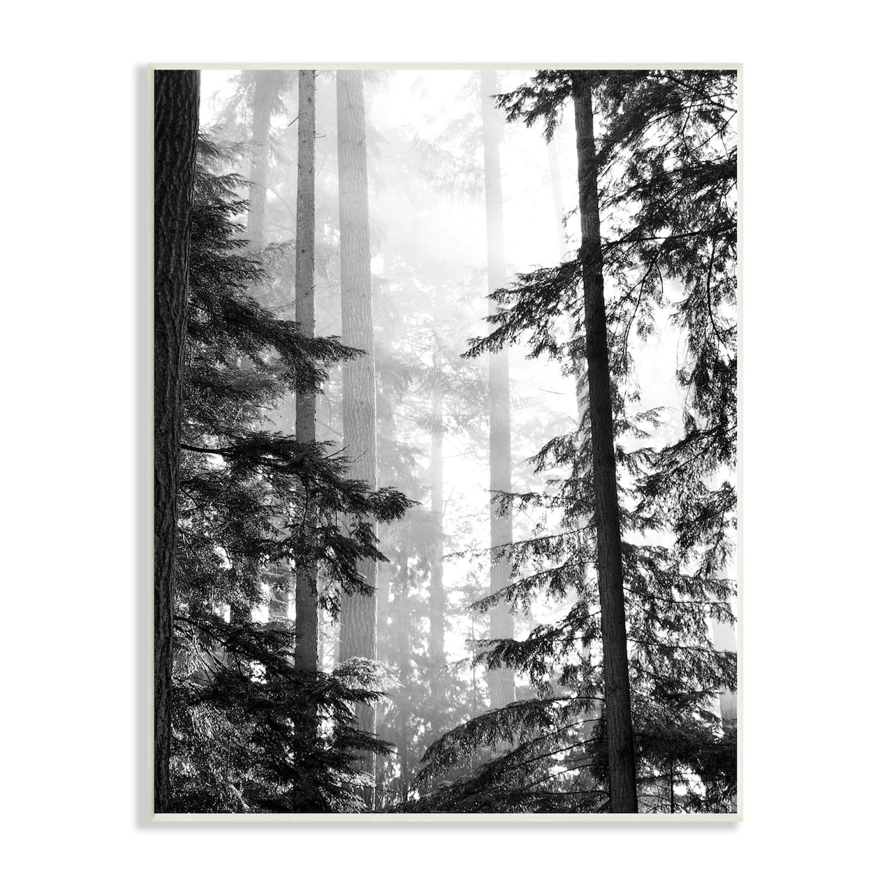 Stupell Industries Forest Light Shining Through Tall Trees Landscape Photography Wall Plaque